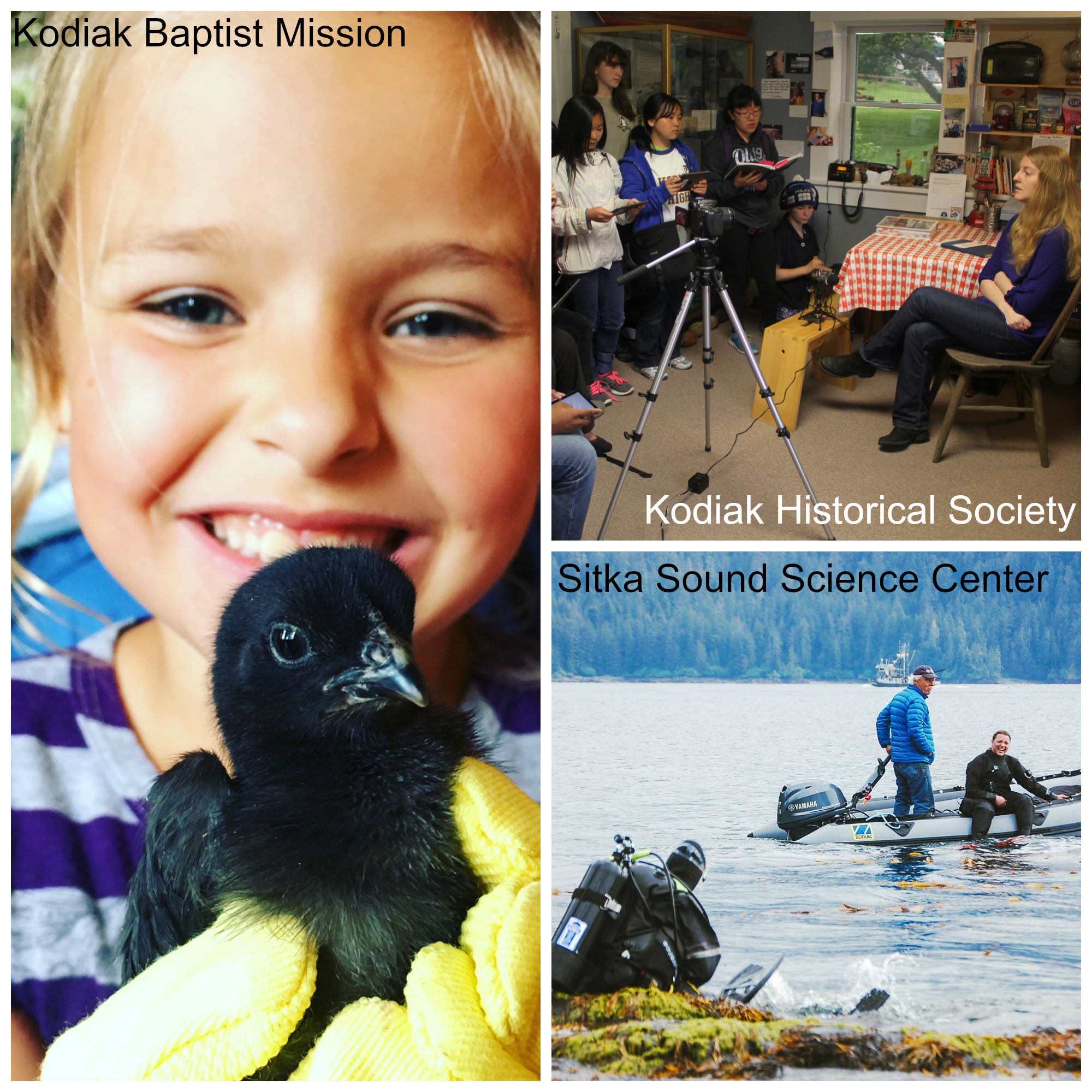 Image 1: a girl with straight blond hair wearing a gray and purple striped shirt smiles while holding a black chick. Text overlay says "Kodiak Baptist Mission." Image 2: a woman with straight blond hair sits in front of a group of children holding choir books inside a room. Text overlay says "Kodiak Historical Society. Image 3: two men in a rowboat on the water, with trees in the background and a machine on the bank near them. Text overlay says "Sitka Sound Science Center."